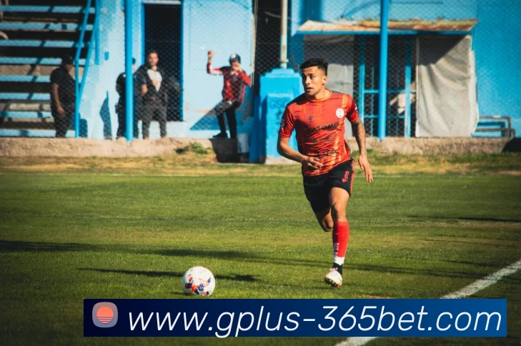 365bet平台生态图