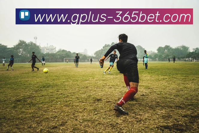 365bet全站App 365bet全站App