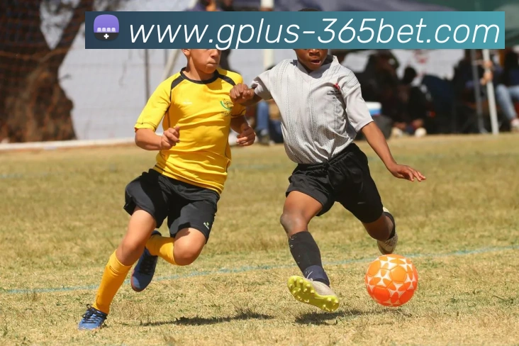 辅助工具 辅助工具